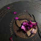 Grammy Awards 2012: Roter Teppich