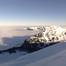 Reisch Tatjana 5.jpg