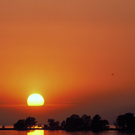 Schneider Karl-Heinz.jpg