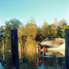 Wohlgenannt Julia 3.jpg