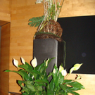 DSC09055.JPG