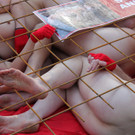 Nacktprotest vor der chinesischen Botschaft