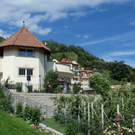 05.jpg