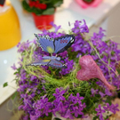 normal_13022012fmt_valentinstag_mw_26.JPG