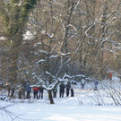 13022012bilderbuchwintertagat_02_001aktivnews__037.JPG