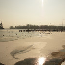 13022012bilderbuchwintertagat_02_001aktivnews__028.JPG