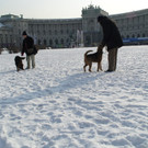 DSC00180.JPG