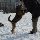 DSC00181.JPG