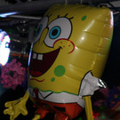 IMG_8813.JPG