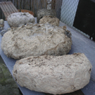 PICT0017.JPG