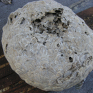 PICT0004.JPG