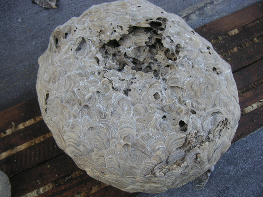 PICT0004.JPG