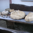 PICT0006.JPG