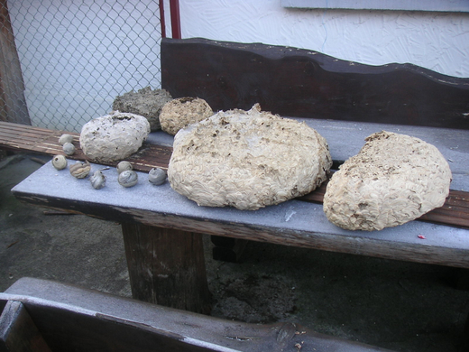PICT0006.JPG