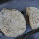 PICT0010.JPG