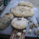 PICT0016.JPG