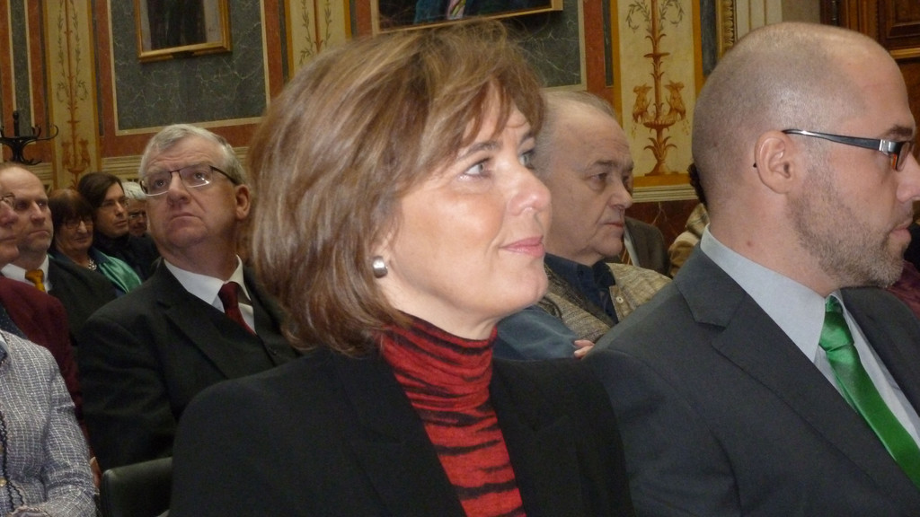 P1050683_jpg-1329149895