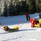 normal_040120101210uhrskiunfallgoetenrlaktivnews_20_12_.jpg