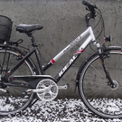 Diebstähle in Frastanz