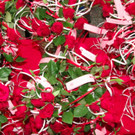 BK_valentinstanz 69_jpg-1329239196