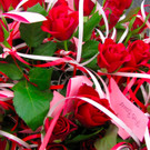 BK_valentinstanz 61_jpg-1329239129