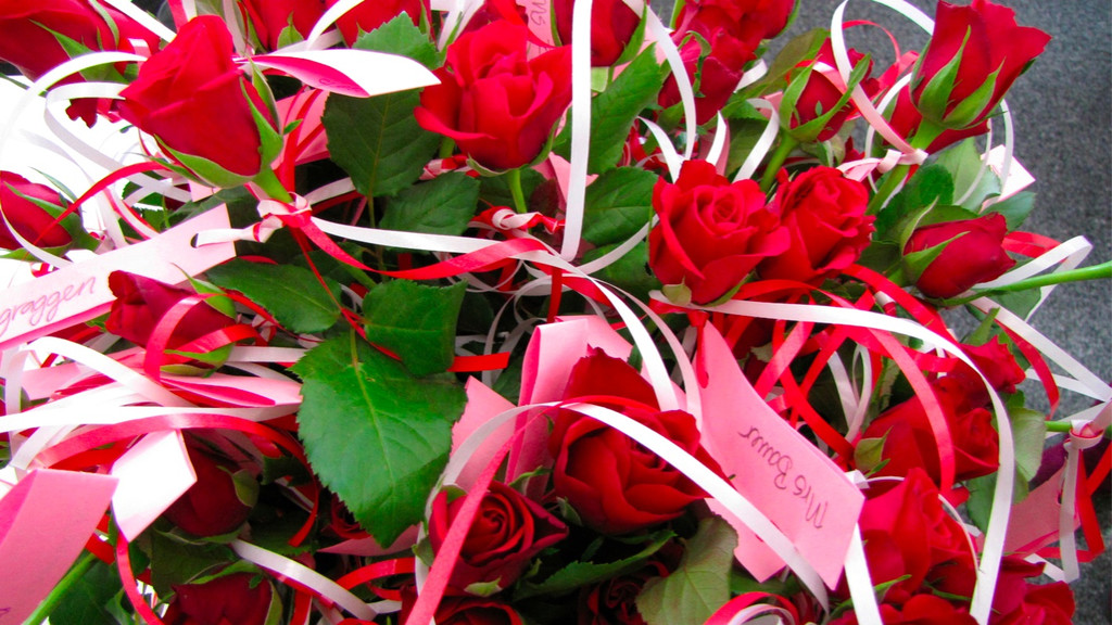 BK_valentinstanz 61_jpg-1329239129