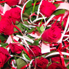 BK_valentinstanz 64_jpg-1329239152