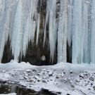 Frutz Egon --------.JPG