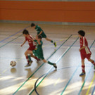 P2120008_JPG-1329310716