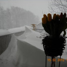 DSCN2263.JPG