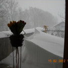 DSCN2265.JPG