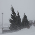 normal_15022012fmt_wintersturmflachgau_mw_20.JPG