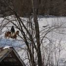 DSC07306.JPG