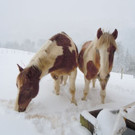 DSCN4241.JPG