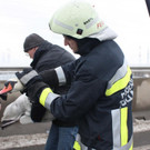 15022012_Tierrettung Tulln _4_.JPG