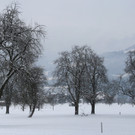 _Pano100_jpg-1329378665