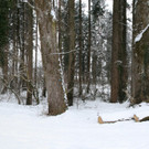 _Panorama1 Kopie_jpg-1329378677