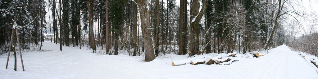 _Panorama1 Kopie_jpg-1329378677