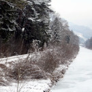 frutz 3_jpg-1329378738