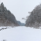 frutz 4_jpg-1329378752