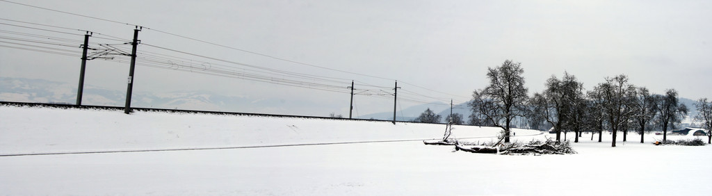 Pano 0123_jpg-1329378775
