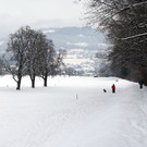 Panorama1025_jpg-1329378812