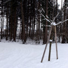 Unbenanntes_Panorama1 Kopie_jpg-1329378827