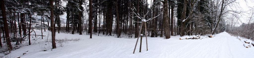 Unbenanntes_Panorama1 Kopie_jpg-1329378827