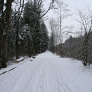 Winter Frutz   2012 127_jpg-1329378877