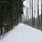 Winter Frutz   2012 138_jpg-1329378904