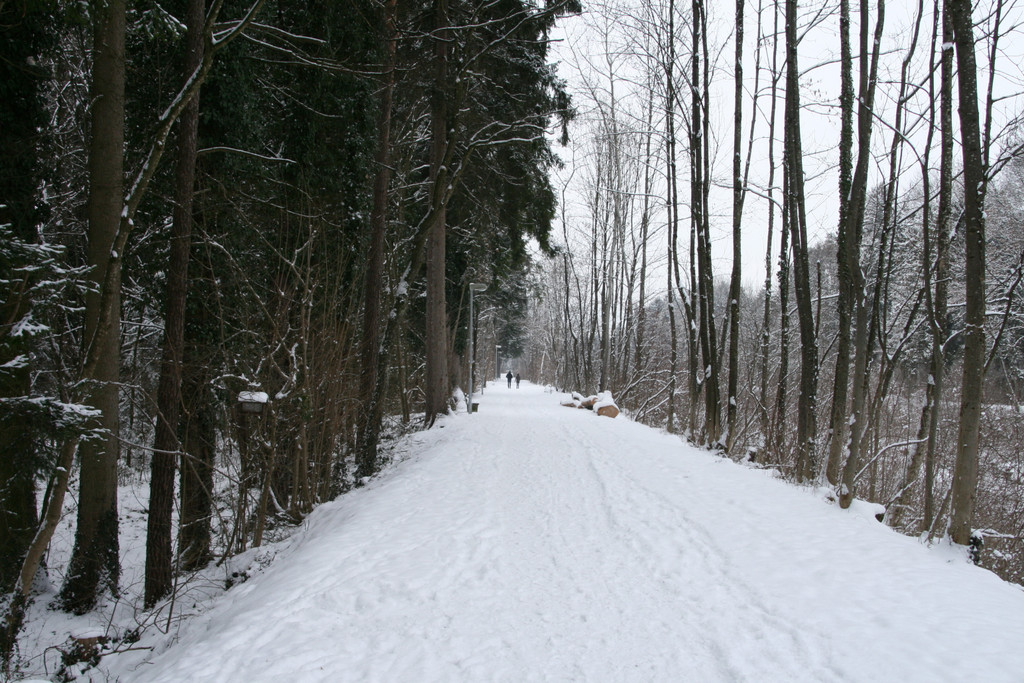 Winter Frutz   2012 138_jpg-1329378904