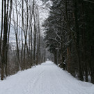 Winter Frutz   2012 139_jpg-1329378929