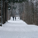 Winter Frutz   2012 144_jpg-1329378954