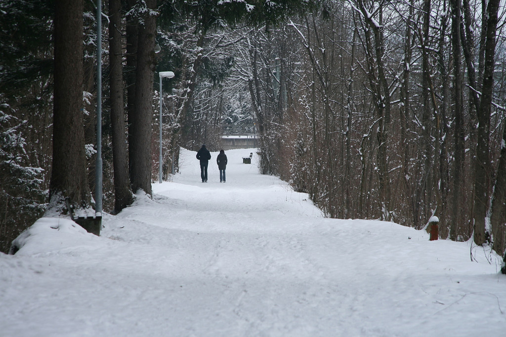 Winter Frutz   2012 144_jpg-1329378954